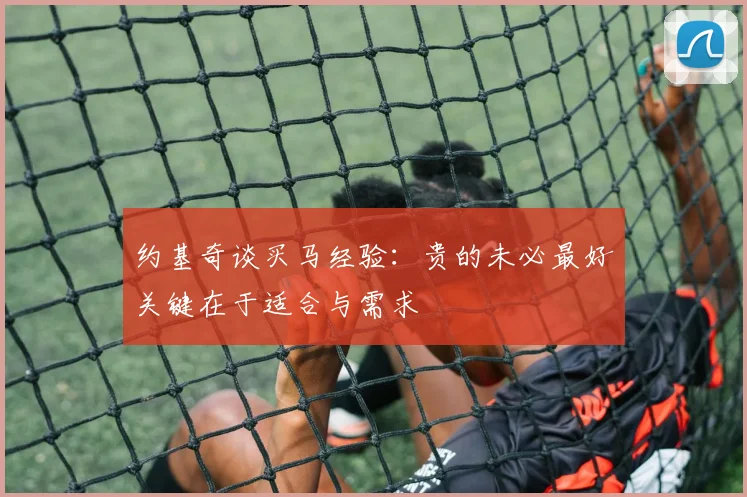 约基奇谈买马经验：贵的未必最好关键在于适合与需求