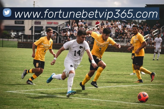 fortune体育全站App